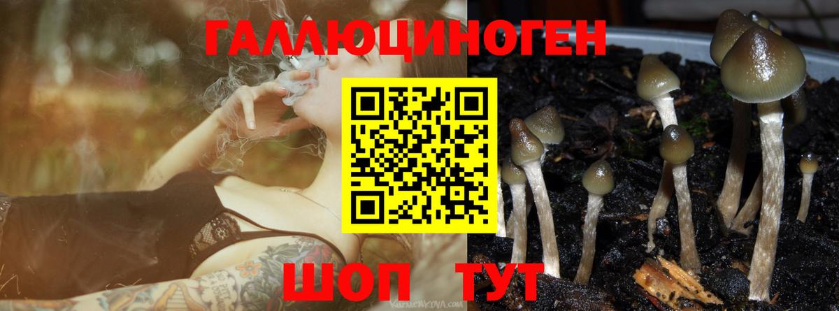 Галлюциногенные грибы GOLDEN TEACHER Среднеуральск