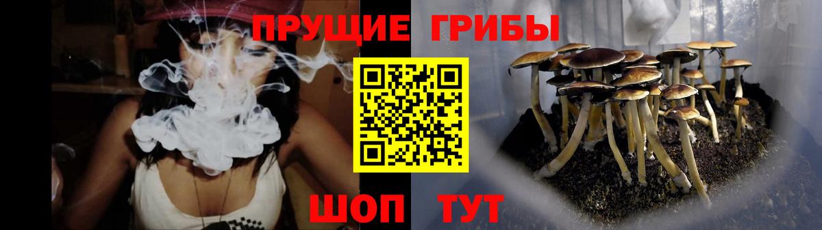 Псилоцибиновые грибы Magic Shrooms  Вход с VPN  Среднеуральск 